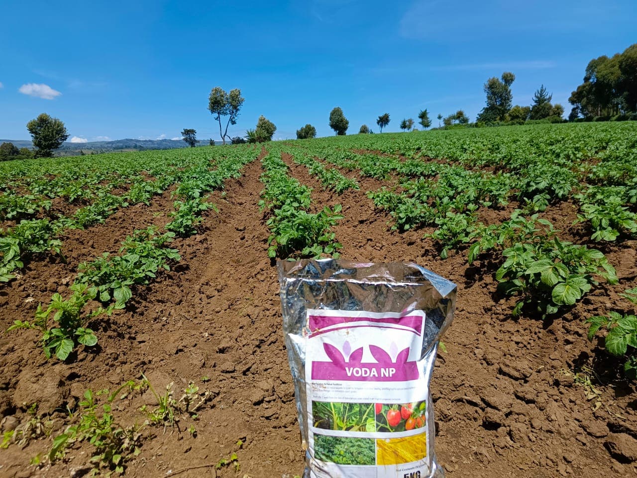 Voda NP 5KG fertilizer bag